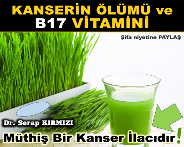 Kanser diye bir şey yok sadece B17 vitamini eksikliği var