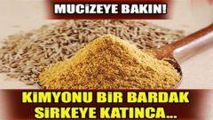 Bir Bardak Sirkenin İçerisine Kimyonu Atın ve Mucizeye Tanık Olun