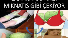 Vücuda Lahana Sarmanın Faydalar