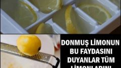Limonun Bilmediğimiz Faydaları