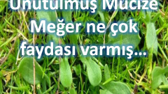 Unutulmuş Mucize Meğer ne çok işe yarıyormuş
