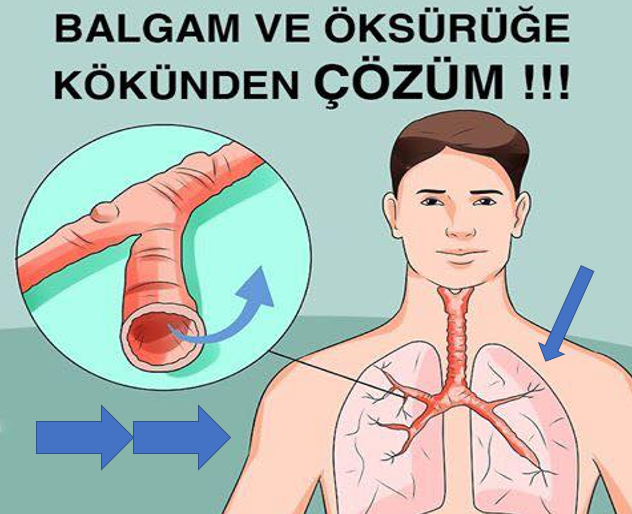 Bu doğal yöntemler balgamı ve öksürüğü hemen kesiyor