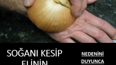 Soğanı Kesip Elinin Üstüne Koydu. Nedenini Öğrenince Aynısını Siz De Yapacaksınız.