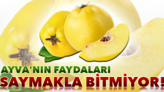 Kış Aylarında Ayva Kabuğu İle Şifa bulun