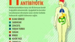 Bağışıklık Sistemini Güçlendiren Doğal Besin