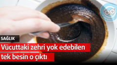 Vücuttaki zehri yok edebilen tek besin o çıktı