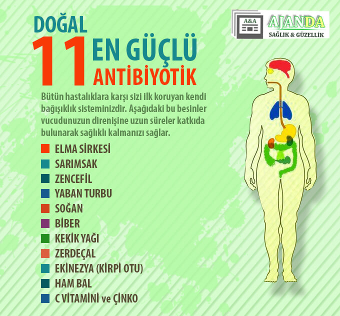 Bağışıklık Sistemini Güçlendiren Doğal Besin