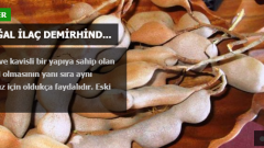 En Etkili Doğal İlaç Demirhindi Faydaları