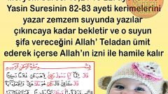 Hamile Kalmak İsteyen Bayanlar Mutlaka Okuyun