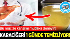 Karaciğeri Doğal Yollarla Temizleyen Mucize İçecek