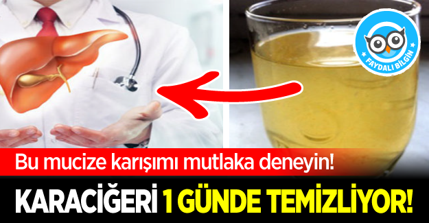 Karaciğeri Doğal Yollarla Temizleyen Mucize İçecek