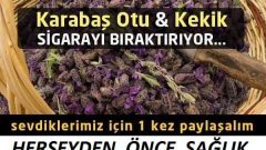 Karabaş Otu ve Kekik Sigara Bırakma Kürü