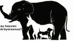 Bu Resimde Kaç Hayvan Görüyorsunuz Sadece 1000 Kişiden 1 i Tamamını Görebiliyor