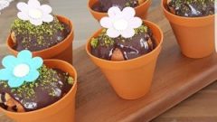 Saksı Kalıbında Damla Çikolatalı Kek