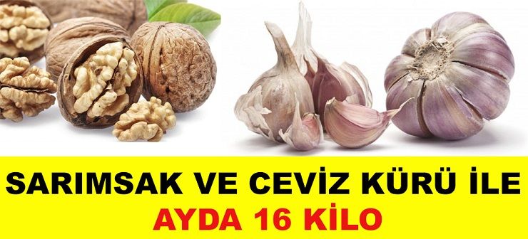 Ayda 16 Kilo Verdiren Sarımsak ve Ceviz Kürü