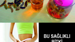 Açlık Otu ile Etkili Zayıflama