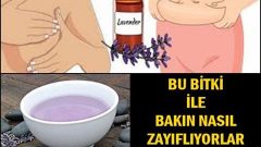Bu Bitki İle Bakın Nasıl Zayıflıyorlar Ünlülerin İnanılmaz Yöntemi