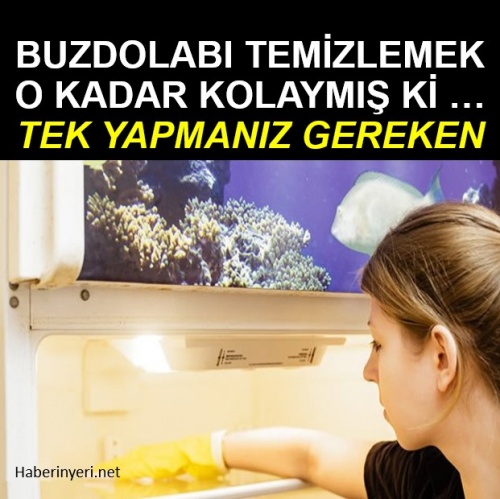 Buzdolabı temizleme yöntemi