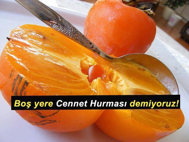 Cennet Hurması doğal bir protein, vitamin ve minaral kaynağı