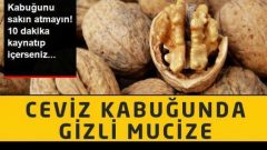 Ceviz Kabuğunun İnanılmaz Mucizesi