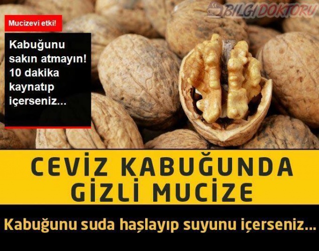 Ceviz Kabuğunun İnanılmaz Mucizesi