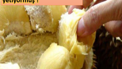 Durian meyvesinin faydaları