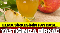 Elma Sirkesinin Bu Özelliğini Biliyor muydunuz