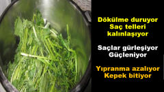 Saçlarınız için ısırgandan mutlaka faydalanın