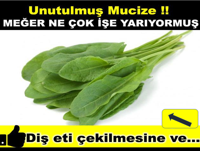 Unutulmuş Mucize Meğer ne çok işe yarıyormuş