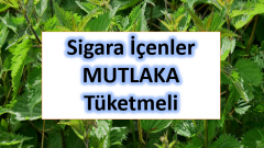 Nikotini vücuttan temizlemenin yolları