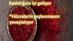 Safran sarı nokta ve göz hastalıklarına birebir