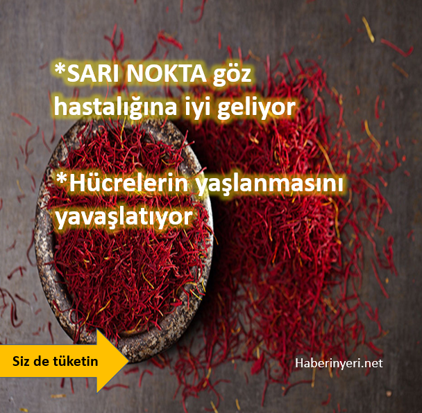 Safran sarı nokta ve göz hastalıklarına birebir