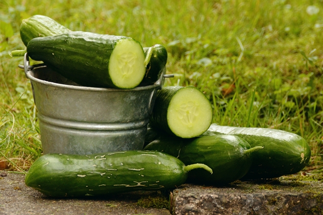 Salatalık Diyeti ile 3 Günde 3 Kilo Verebilmeniz Mümkün