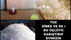 Tuz Sirke Ve Su Bu Üçlüyü Karıştırıp Evinizin Köşesine Koyun Bakın Neler Olacak