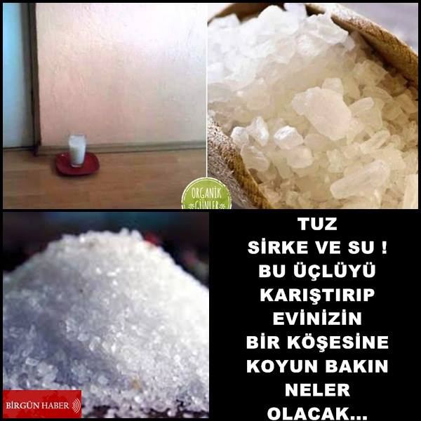 Tuz Sirke Ve Su Bu Üçlüyü Karıştırıp Evinizin Köşesine Koyun Bakın Neler Olacak