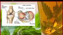 Tendon bağlarını güçlendiren doğal formüller