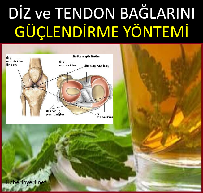 Tendon bağlarını güçlendiren doğal formüller