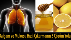 Toksinleri Atıp Çakı Gibi Olacaksınız