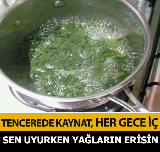 Siz uyurken vücut yağlarının erimeye başlandığını kanıtlıyoruz