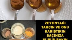 Zeytinyağı Tarçın Ve Onu Karıştırın Saçınıza Sürün Bakın Ne İşe Yarıyor 1 Hafta İçinde
