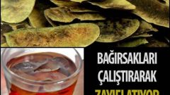 Açlık Otu İle Zayıflama Nasıl Olur ?