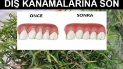 Dağ Kekiği Faydaları ve Kullanımı