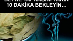 Defne Yaprağını Yakıp 10 Dakika Bekleyin
