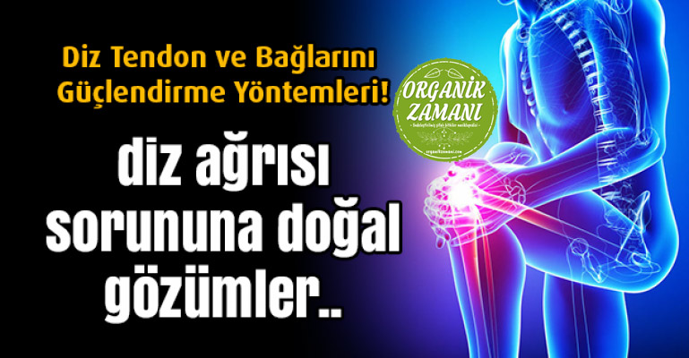 Diz Tendon ve Bağlarını Güçlendirmek İçin Tarifler