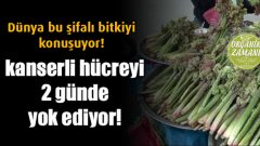 Kanserli Hücreyi 2 Günde Yok Ediyor