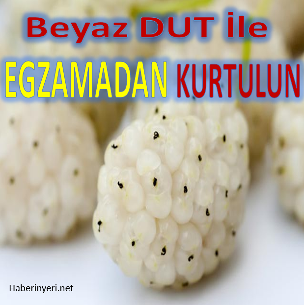 Beyaz Dut ile Egzamadan Kurtulun..!