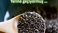 Et ve Balık Tüketemeyenlere Alternatif Besin Açıklandı