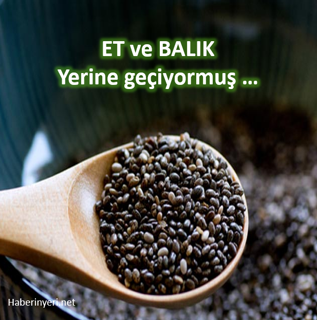 Et ve Balık Tüketemeyenlere Alternatif Besin Açıklandı