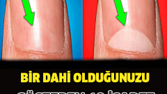 Bir Dahi Olduğunuzu Gösteren 10 İşaret…