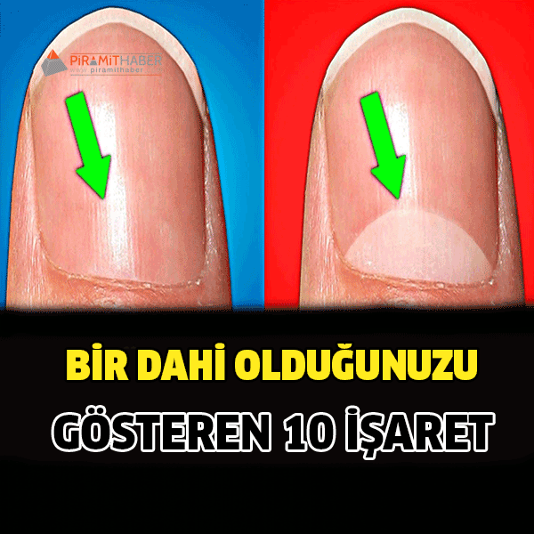 Bir Dahi Olduğunuzu Gösteren 10 İşaret...